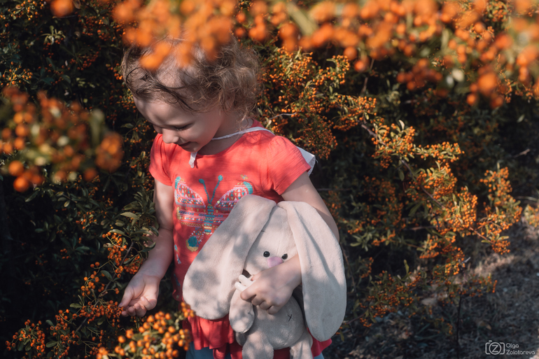 Краснополянский октябрь с малышами. Описания многих троп, и остального по чуть-чуть