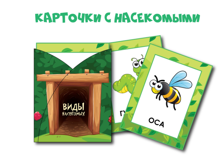 карточки насекомые для детей скачать