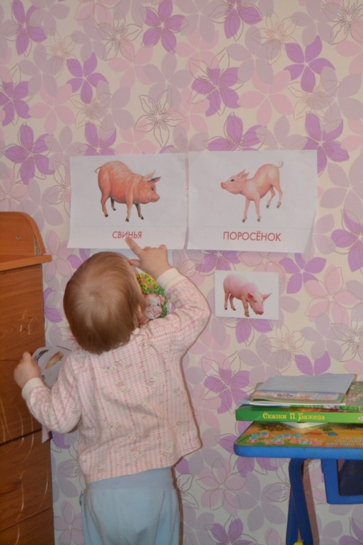 тз Поросенок