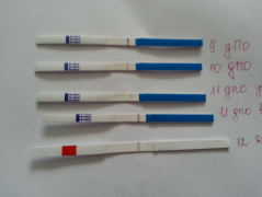 Девочки помогите. Никогда такого не было