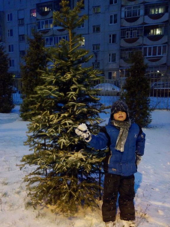 Первые зимние прогулки