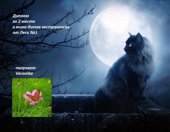 Мои дипломчики)))