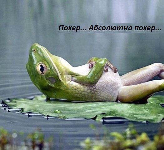 Делай то, что хочется...