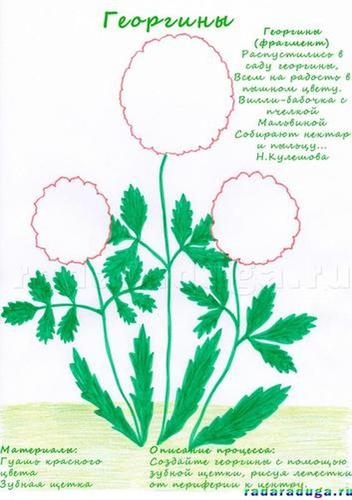 Летний альбом. Часть 1. Цветы. Творчество.