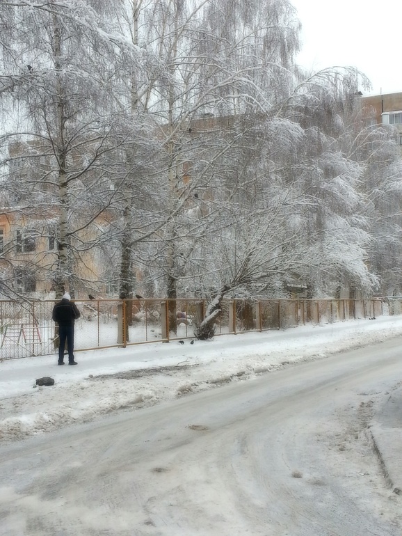 8 месяцев
