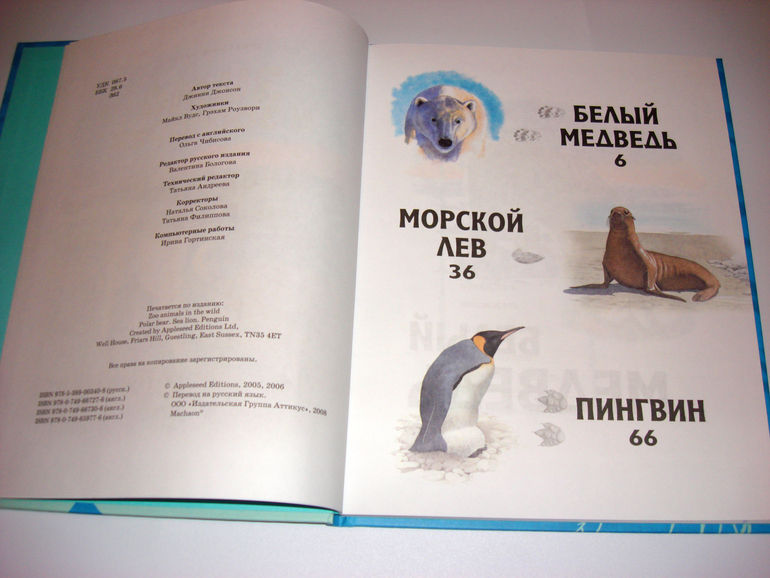 Первый снег...