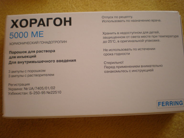 Хорагон 5000