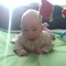votelena