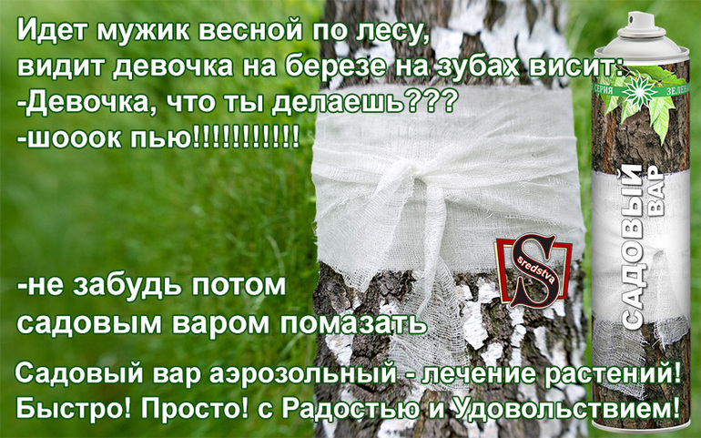 Предлагаем Новинку! Аэрозольная побелка и аэрозольный садовый вар.