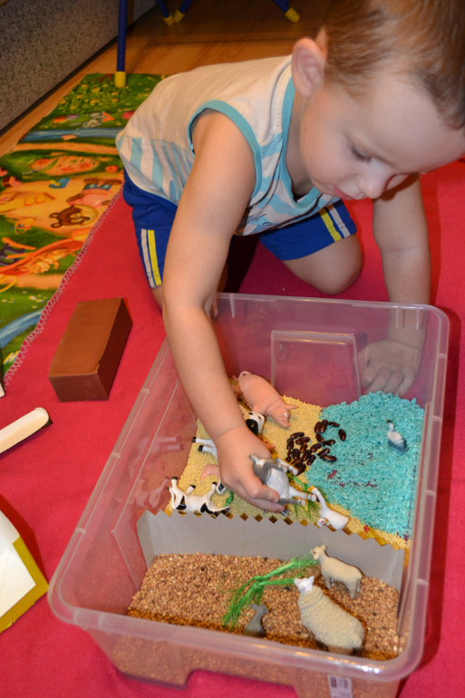 Сенсорная ферма и другие занятия) — 17 ответов | форум Babyblog