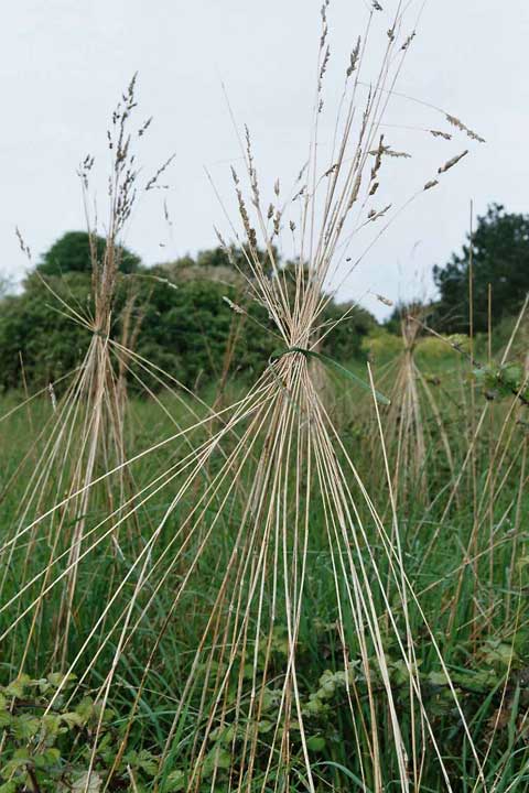 Land Art