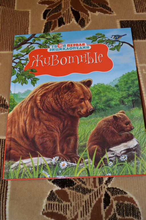 Наши животные