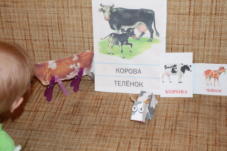 Отчет Корова