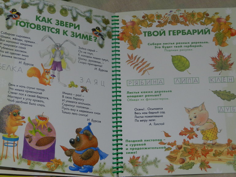 обнавленный большущий хваст)))))))))))))))))))))