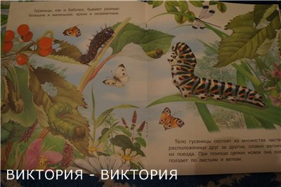 a732bfa9d1194865eca86bbd6c2f5a01.jpg