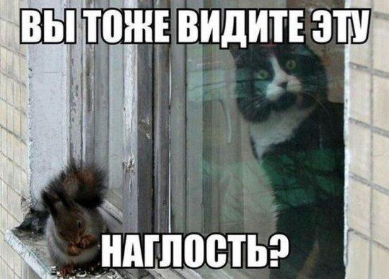 Улыбайся, улыбайся...)))