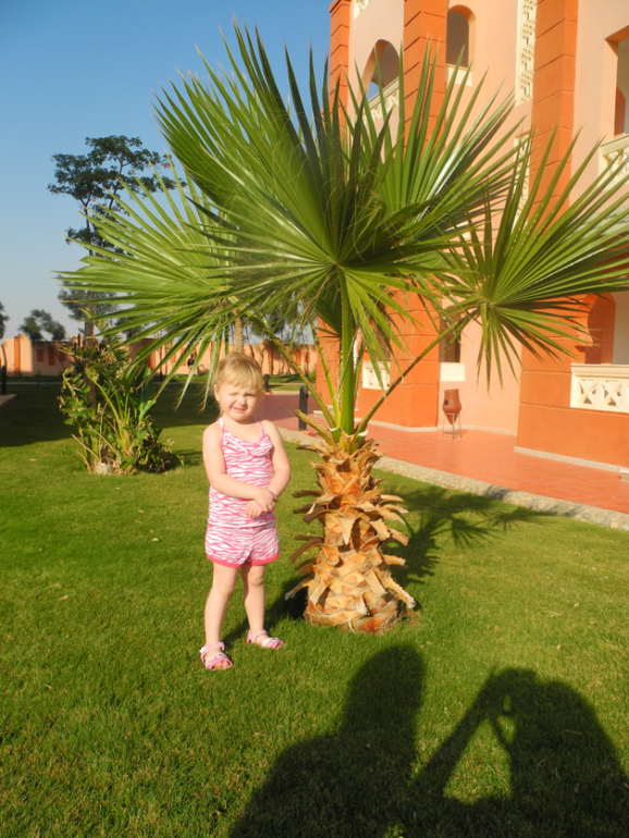 Beach Albatros Garden