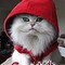 светик