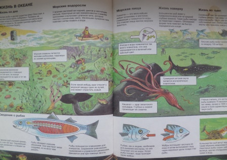 Книги из библиотеки 6