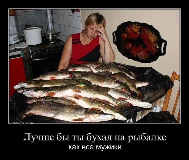 1cf3b0c499d16c7ae3187f332f23fd49.jpg