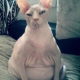 Марина