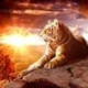 Tigra
