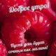Светлана Гаевская