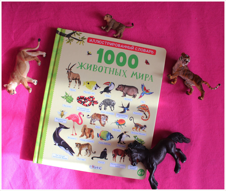 1000 животных мира
