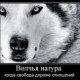 Сергей Карпихин