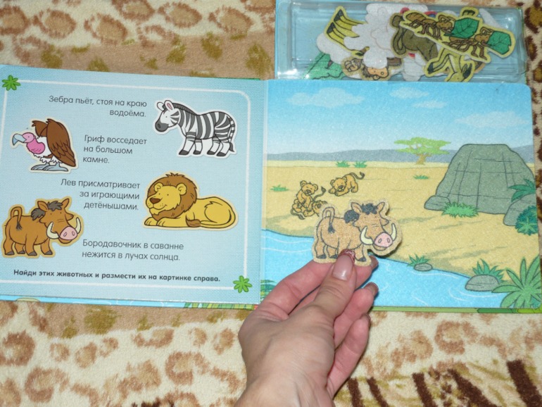 Книжки двух мальчишек