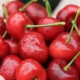Ксения