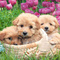наталья