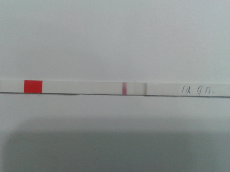 12 ДПО.