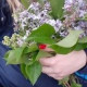 Марина Белых
