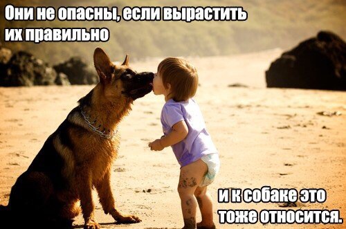 Собака - Друг человека!