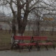 Наталья
