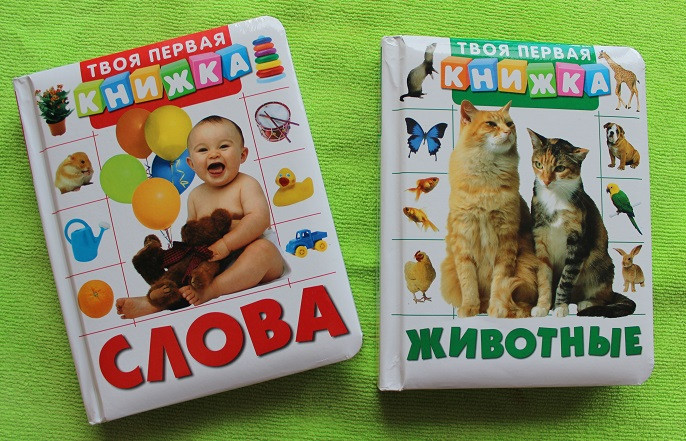 Твоя первая книжка. Развивашки от Росмэн