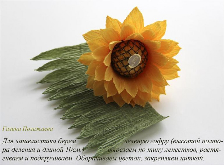 МК подсолнух — 6 ответов | форум Babyblog