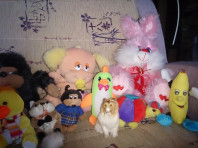 Мягкие игрушки пакетом