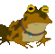 Ярутти