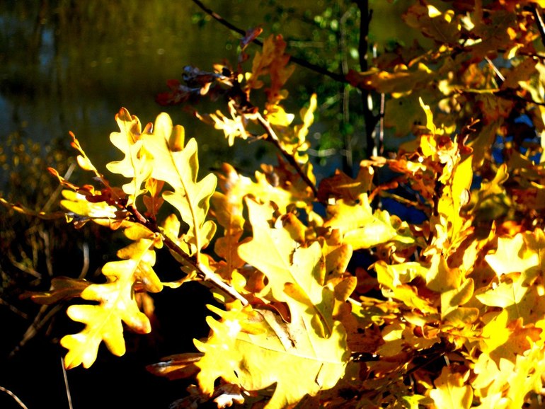 a8e1aa2b173a23c5ffa66bd71481a2c9.jpg