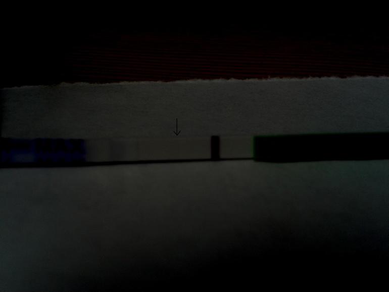 fbb95ae52685c5d60f5428fb2465a460.jpg