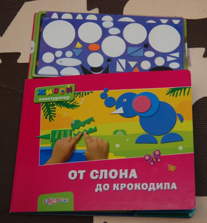 От слона до крокодила