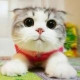 Елизавета Зуева