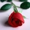 Sallis