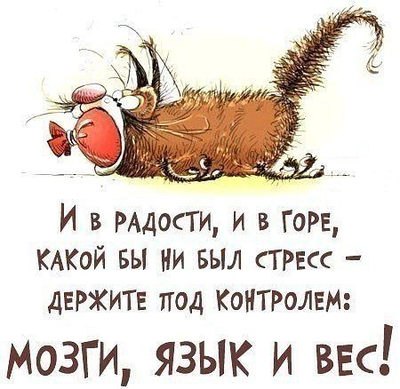 Субботнее настроение!