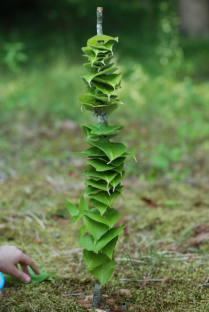 Land Art