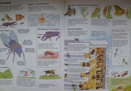 Книги из библиотеки 6