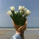 Алиса Алаева