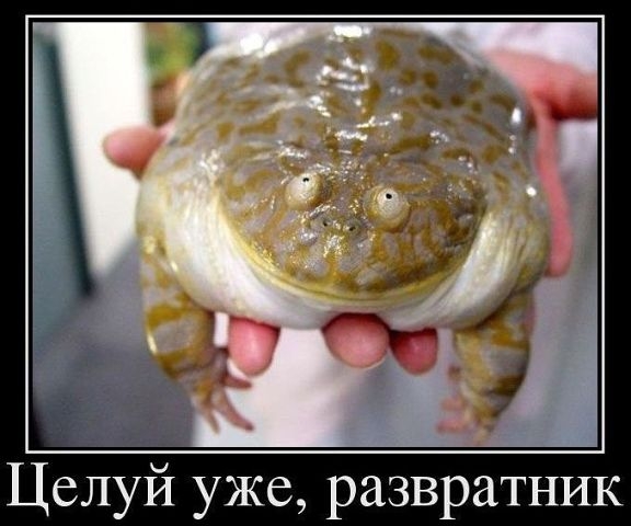 Время улыбнуться.
